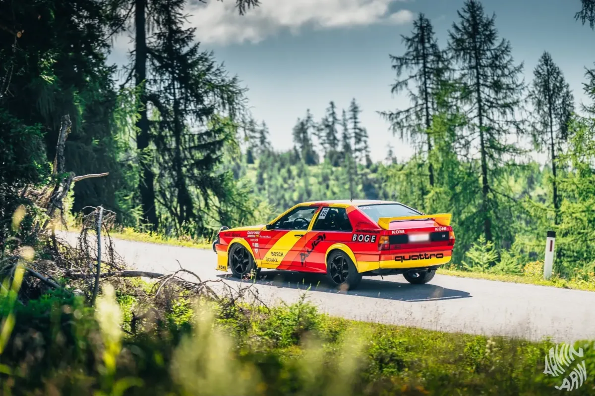 Audi quattro im Rallye-Design von hinten auf einer Bergstraße zwischen Nadelbäumen